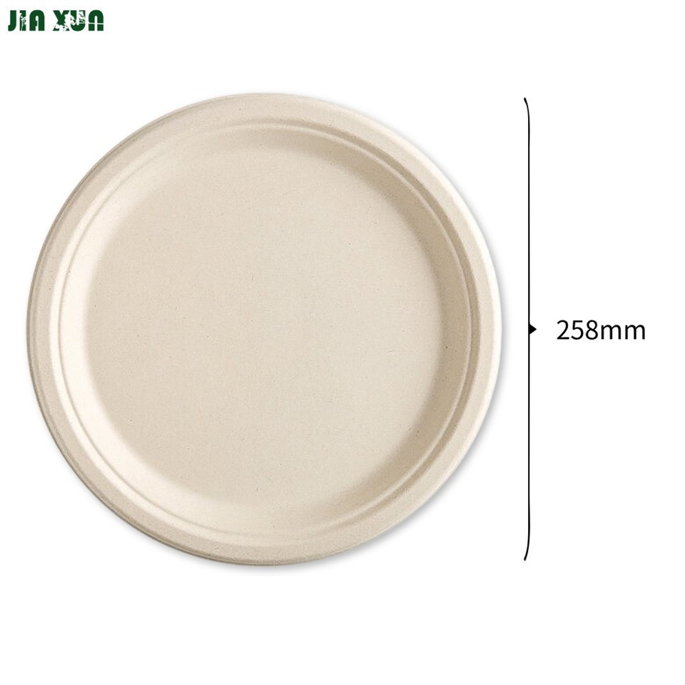 Compostable sugarcane dinnerware manufacturer